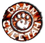 logo Damn Cheetah